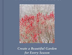 Winterland: Create A Beautiful Garden For Every Season
Garden Design
Calimesa, CA