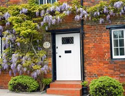 Wisteria Vine, Brick House
Pixabay
