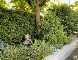 Woodland Border Garden
Garden Design
Calimesa, CA