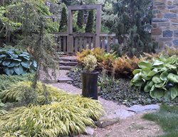 Woodland Cottage Garden
Garden Design
Calimesa, CA