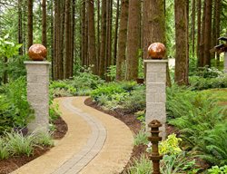 Woodland Garden Pathway
Garden Design
Calimesa, CA