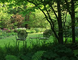 Woodland Garden, Sitting Garden
Rick Darke LLC
Landenberg, PA