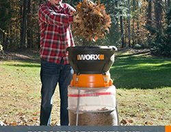 Worx Leaf Mulcher
Garden Design
Calimesa, CA