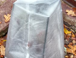 Wrapped Shrub, Winter Protection, Fabric
Shutterstock.com
New York, NY