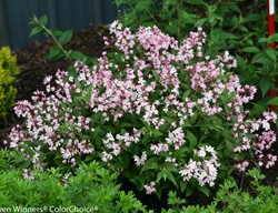 Yuki.
Garden Design
Calimesa, CA
