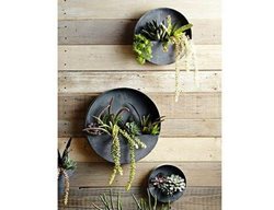 Zinc Planters, Wall Planters
Garden Design
Calimesa, CA