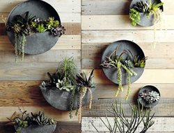  Zinc Planters, Wall Planters
Garden Design
Calimesa, CA