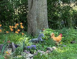 Zone 6 Garden, Daylilies, Rooster
Garden Design
Calimesa, CA
