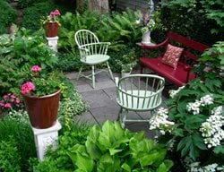 Small Garden Pictures
Eric Sternfels (Homeowner)
Philadelphia, PA