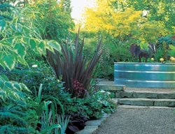 Galvanized Stock Tank, Water Plants
Small Garden Pictures
Mosaic Gardens
Eugene, OR