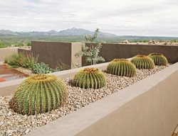 Succulent and Cacti Pictures
Design Collaborations Ltd.
Tucson, AZ