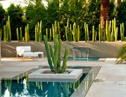 Succulent and Cacti Pictures
Steve Martino & Associates
Phoenix, AZ