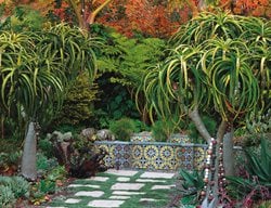 Berkeley Garden, Brandon Tyson
Top Garden Ideas
Brandon Tyson
Berkeley, CA