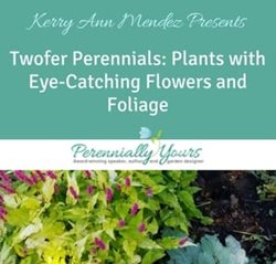 Perennial Flowers Plants And Gardens Garden Design