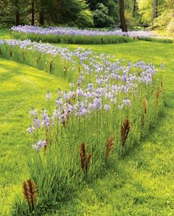 Garden Design contact us | garden design Garden Design contact us | garden design