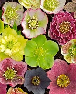 Garden Design garden tours & travel | garden design Garden Design garden tours & travel | garden design