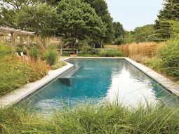 Ornamental Grass
Oehme, van Sweden & Associates, Inc.
Washington, DC
