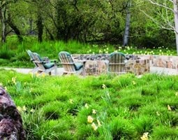 Ornamental Grass Landscaping Ideas | Garden Design