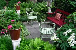 Small Garden, Big Interest
Eric Sternfels (Homeowner)
Philadelphia, PA
