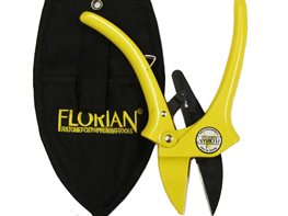 Garden Pruners, Gardening Tools
"Dream Team's" Portland Garden
Garden Design
Calimesa, CA