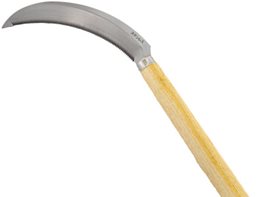Gardening Tools
"Dream Team's" Portland Garden
Garden Design
Calimesa, CA