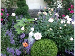 Topphotocaseygarden_resize2
"Dream Team's" Portland Garden
Garden Design
Calimesa, CA