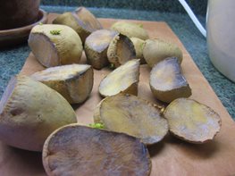 curing potatoes