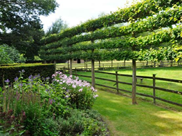 Garden Design Blog blog of garden design magazine | garden design Garden Design Blog blog of garden design magazine | garden design