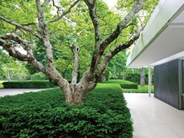 Garden Ideas Modern modern garden ideas | garden design Garden Ideas Modern modern garden ideas | garden design