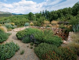 "Dream Team's" Portland Garden
Design with Nature
Santa Fe, NM