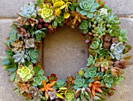 Fall Décor, Wreath
"Dream Team's" Portland Garden
Garden Design
Calimesa, CA