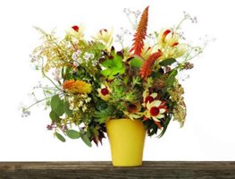 Flora Grubb, Bouquet
"Dream Team's" Portland Garden
Garden Design
Calimesa, CA