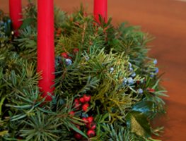 "Dream Team's" Portland Garden
Garden Design
Calimesa, CA