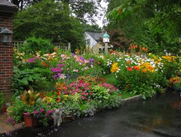 "Dream Team's" Portland Garden
Garden Design
Calimesa, CA