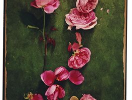 "Dream Team's" Portland Garden
Garden Design
Calimesa, CA