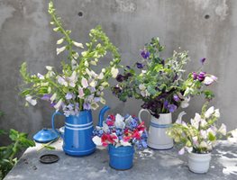 "Dream Team's" Portland Garden
Garden Design
Calimesa, CA