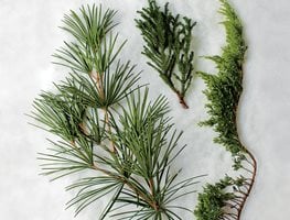 "Dream Team's" Portland Garden
Garden Design
Calimesa, CA