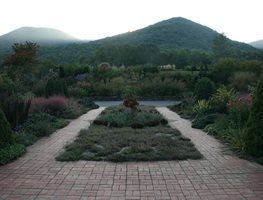 "Dream Team's" Portland Garden
Garden Design
Calimesa, CA