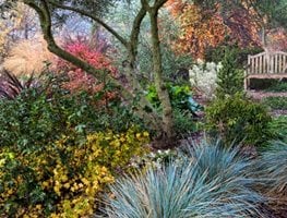 "Dream Team's" Portland Garden
Garden Design
Calimesa, CA