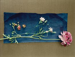 "Dream Team's" Portland Garden
Garden Design
Calimesa, CA