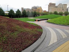 "Dream Team's" Portland Garden
Garden Design
Calimesa, CA