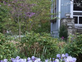 "Dream Team's" Portland Garden
Garden Design
Calimesa, CA