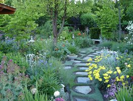 "Dream Team's" Portland Garden
Garden Design
Calimesa, CA