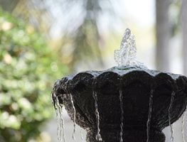 Garden Fountain, Water Feature
"Dream Team's" Portland Garden
Shutterstock.com
New York, NY