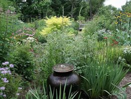 July Garden
"Dream Team's" Portland Garden
Monarch Gardens
Lincoln, NE