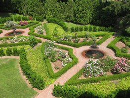 "Dream Team's" Portland Garden
Kevin Lee Jacobs
,