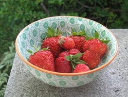 Lea Gauthier
"Dream Team's" Portland Garden
Leah Gauthier