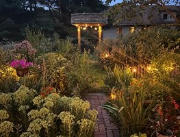 Night Patio Garden, Lights
"Dream Team's" Portland Garden
Garden Design
Calimesa, CA