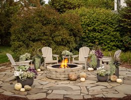 Outdoor Fire Pit With Seating, Fall Fire Pit
"Dream Team's" Portland Garden
Proven Winners
Sycamore, IL