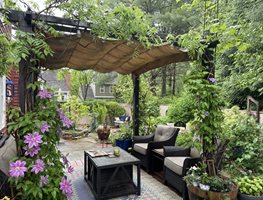Patio Pergola With Vines
"Dream Team's" Portland Garden
Alli Guleria
Washington D.C.,